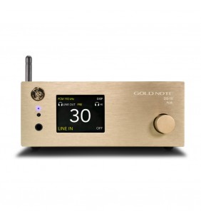 Gold Note DS-10